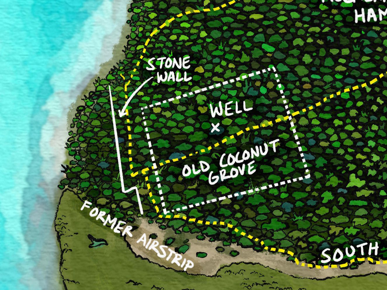 Seagrass Ecosystem of Lignumvitae Key