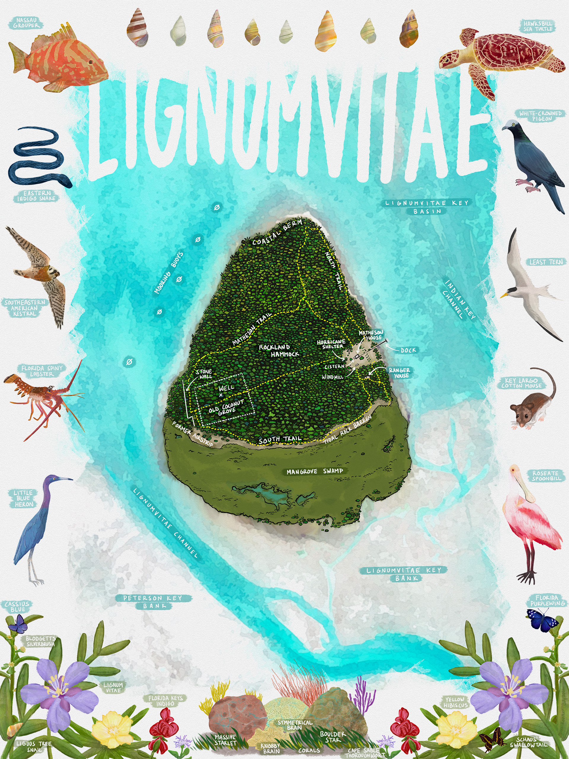 LIGNUMVITAE KEY – Aaron Koelker